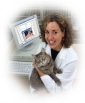 Medical Debt Consolidation